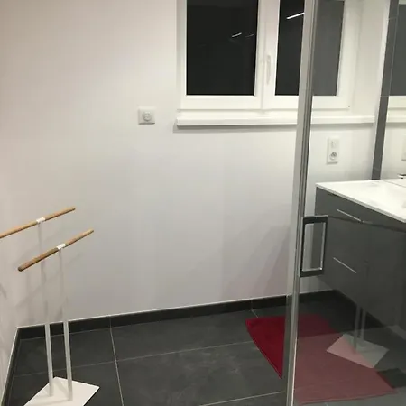 Appart Le Cerf 4 Etoiles 74M2 Cornimont Exterior photo